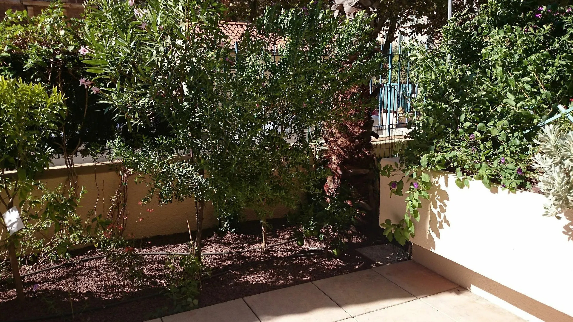 Apartment With One Room In Hyeres, With Wonderful City View, Enclosed France